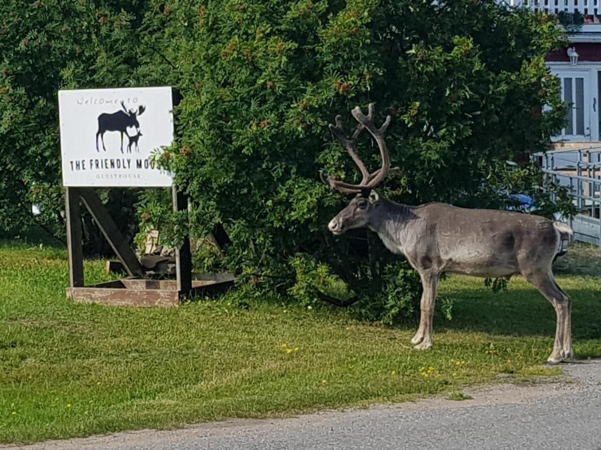 The Friendly Moose Hotel Overtornea Exterior photo
