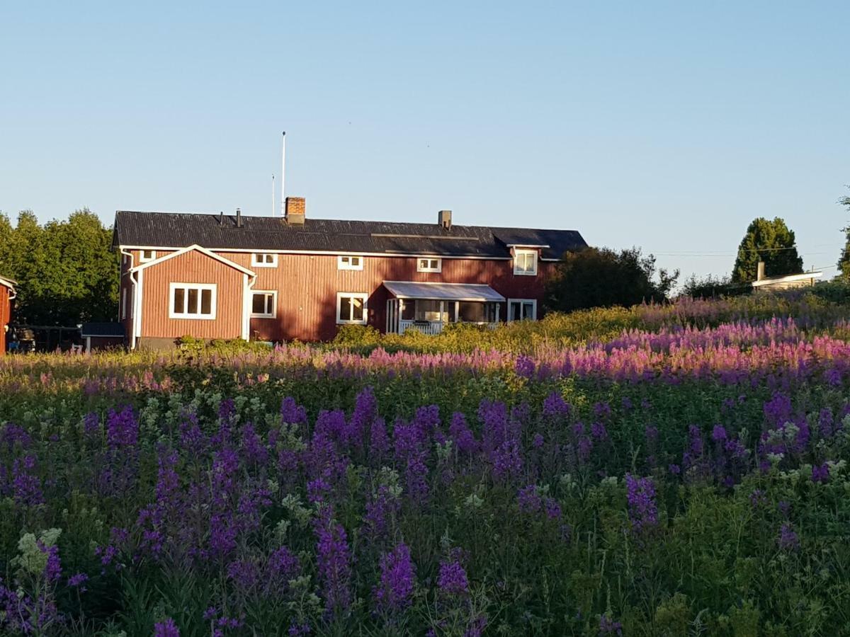 The Friendly Moose Hotel Overtornea Exterior photo